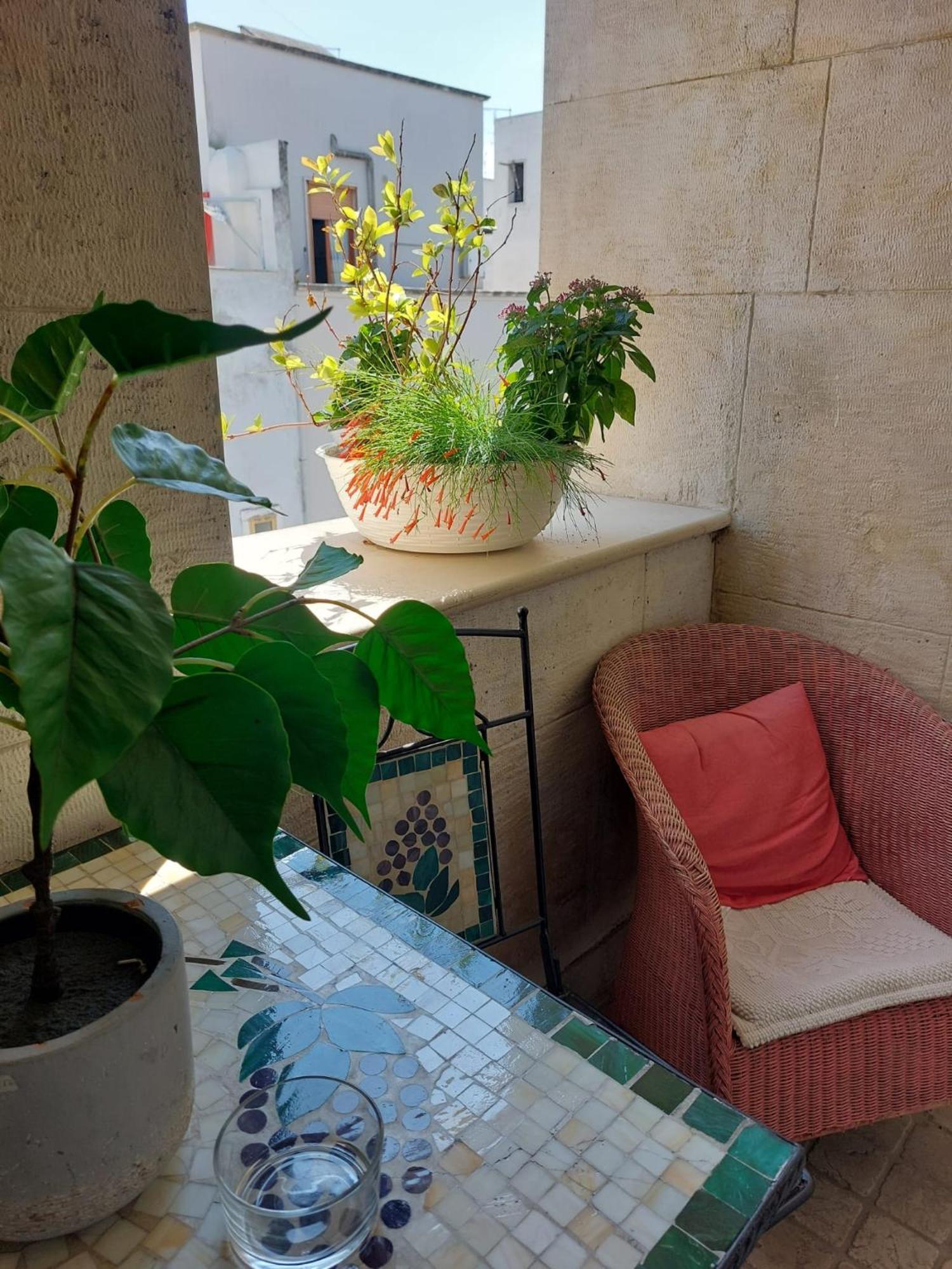 B&B Il Grifone Gioia Del Colle Buitenkant foto